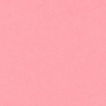 ROSE PETAL